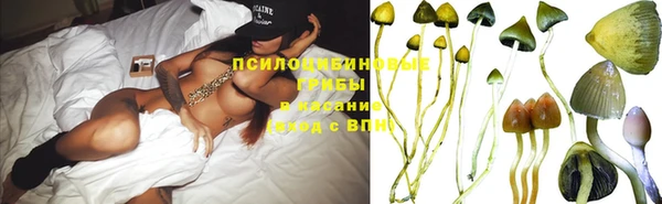 дживик Алексеевка