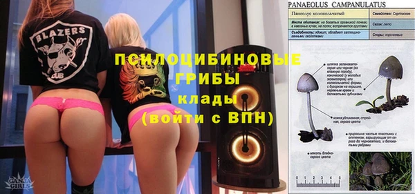 альфа пвп Саяногорск