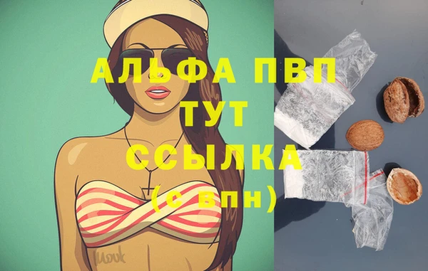 СК Алзамай