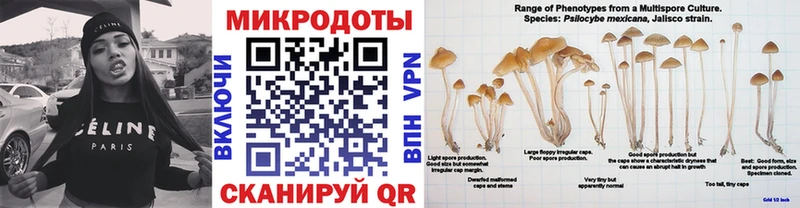 Галлюциногенные грибы Psilocybe  купить закладку  Дно 